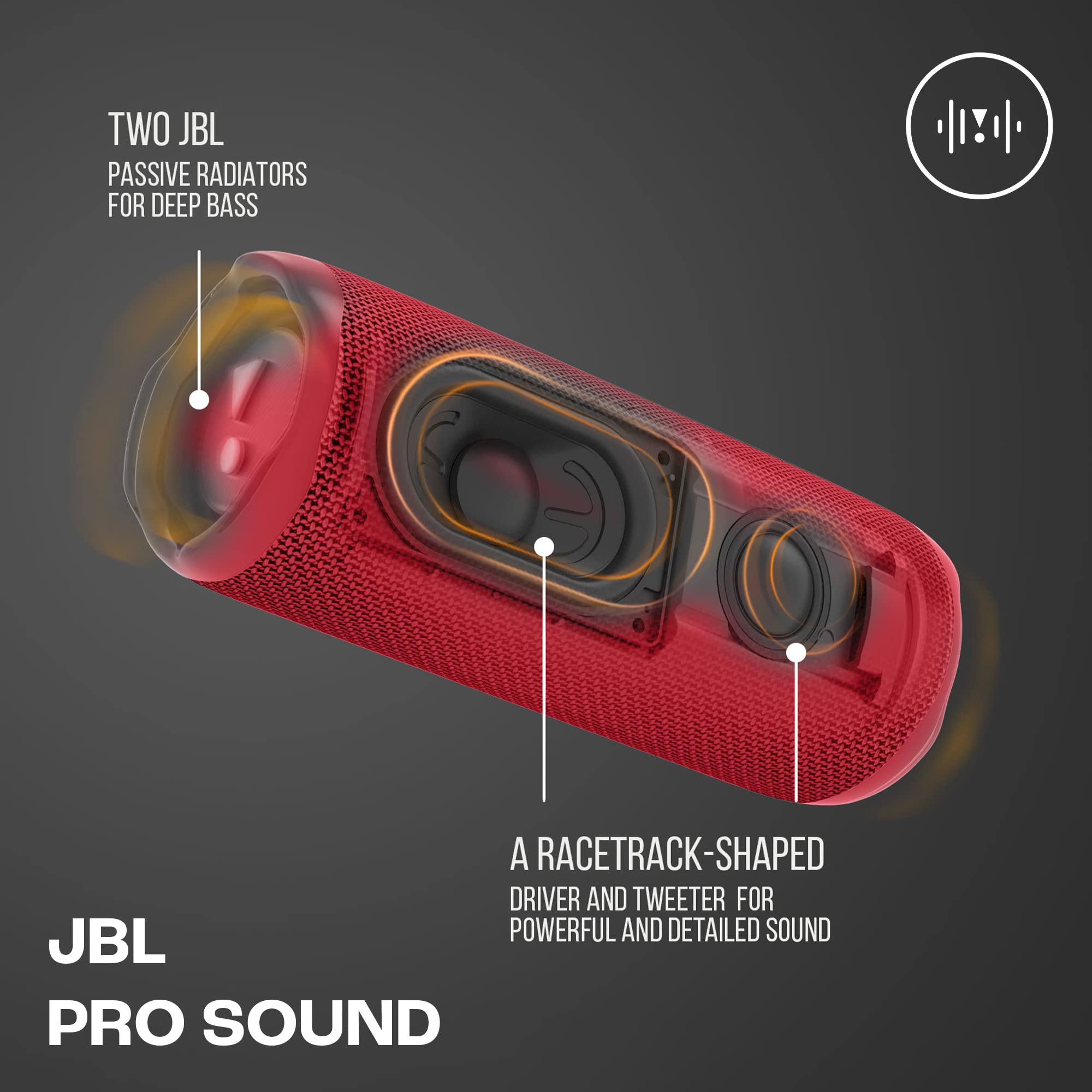 JBL Flip 6