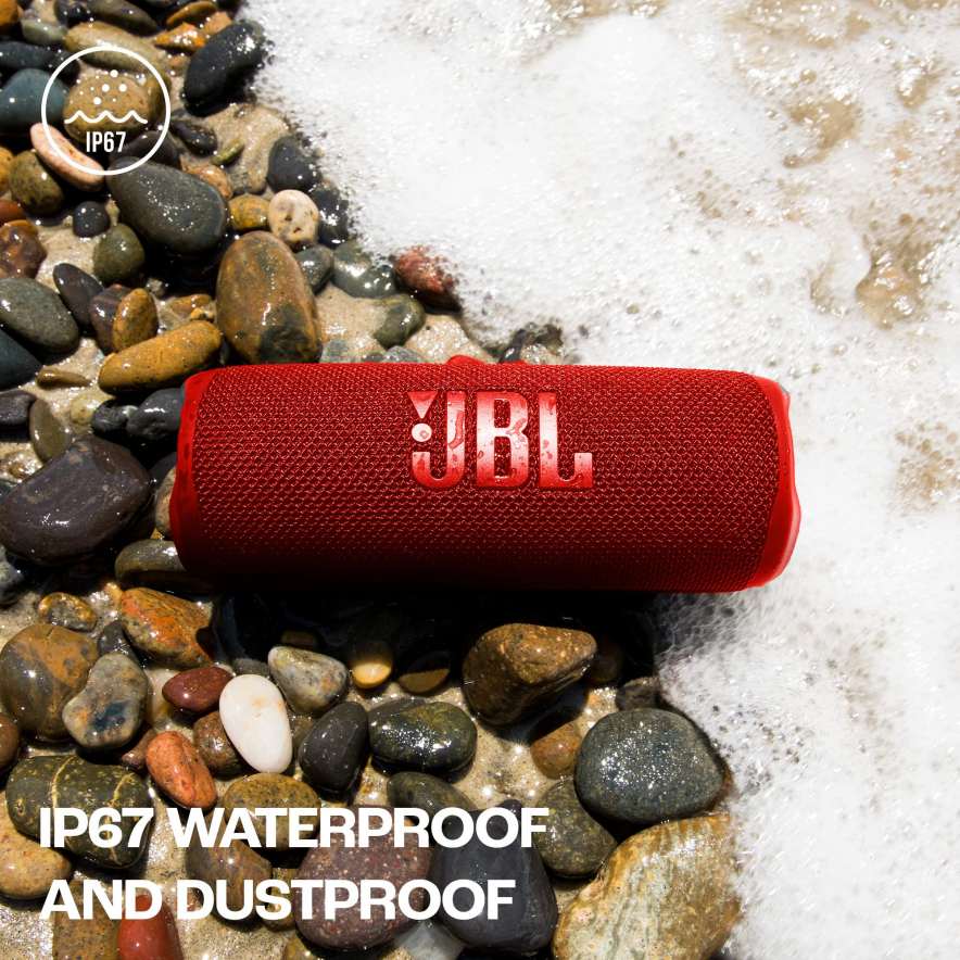 JBL Flip 6