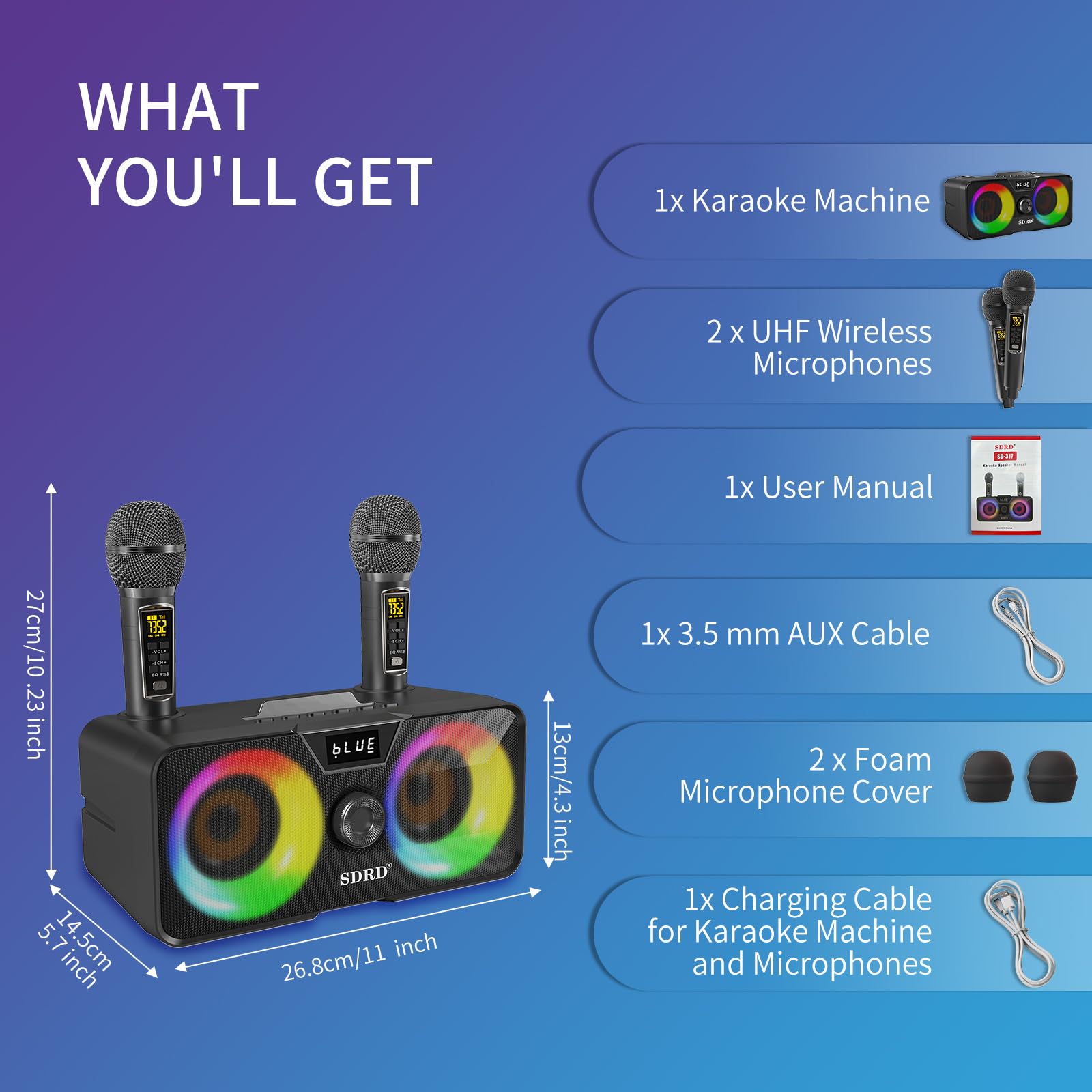 Karaoke Machine for Adults and Kids with 2 UHF Wireless Microphones Review