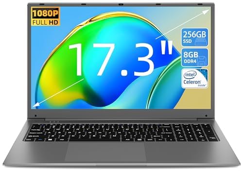 Naclud Laptop 17.3 Inch 8GB RAM 512GB SSD Review