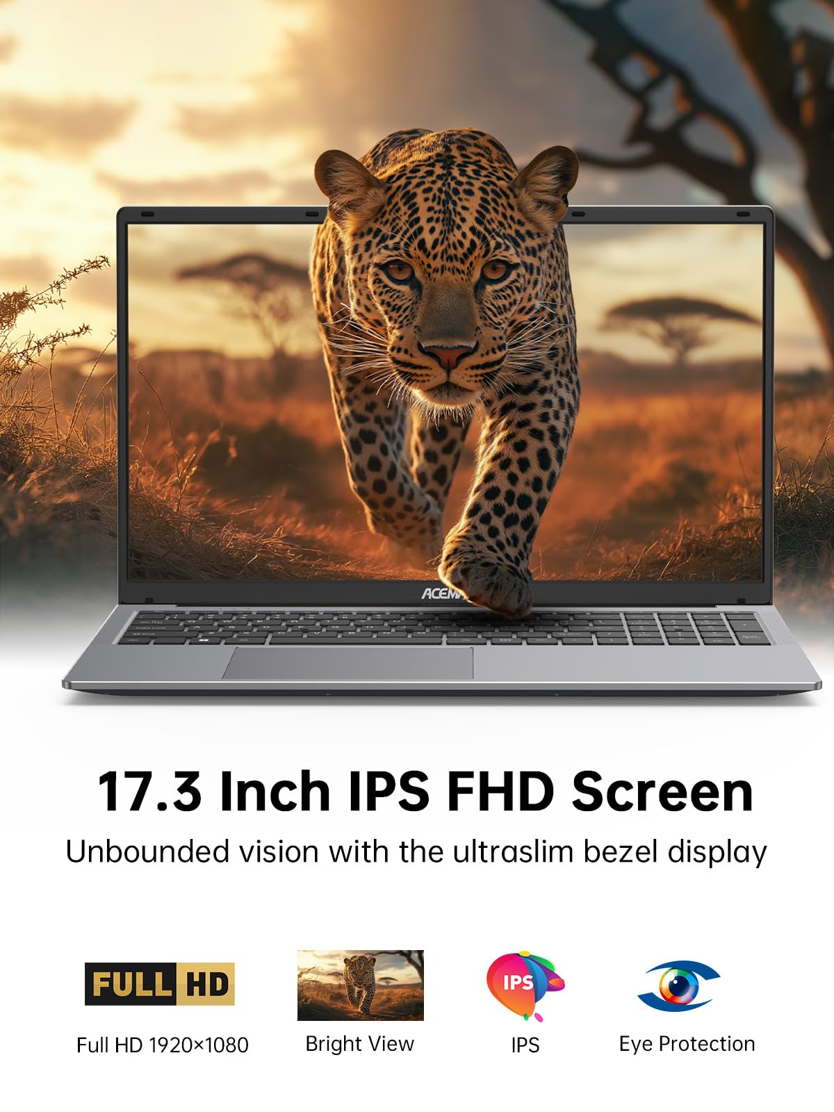 ACEMAGIC 17.3 inch FHD Laptop Review