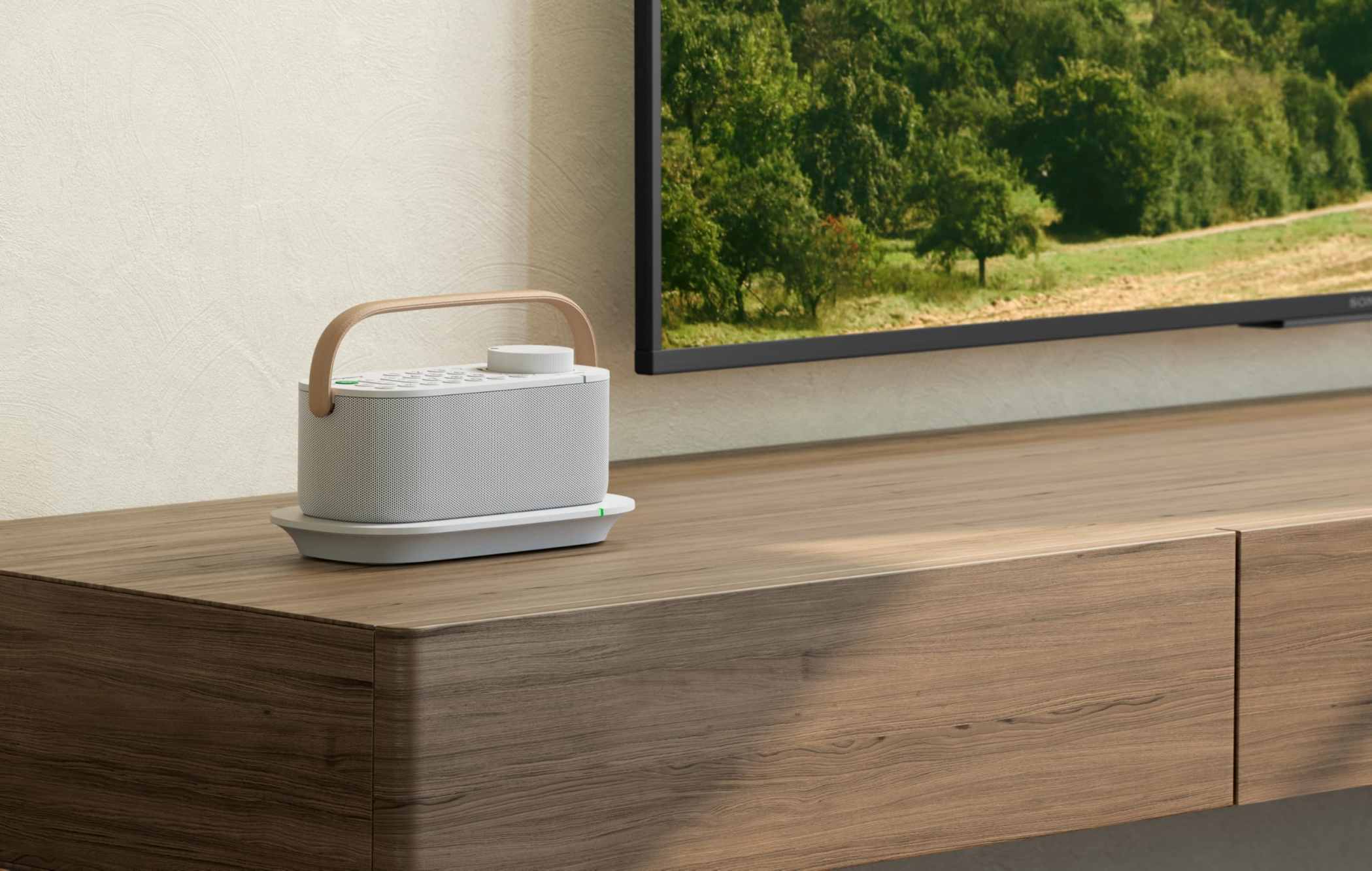 Sony Wireless Handy TV Speaker for Hard of Hearing and Seniors - White (SRSLSR200.CE7) One Size Review