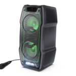 SHARP PS-931 XParty SING Speaker Review