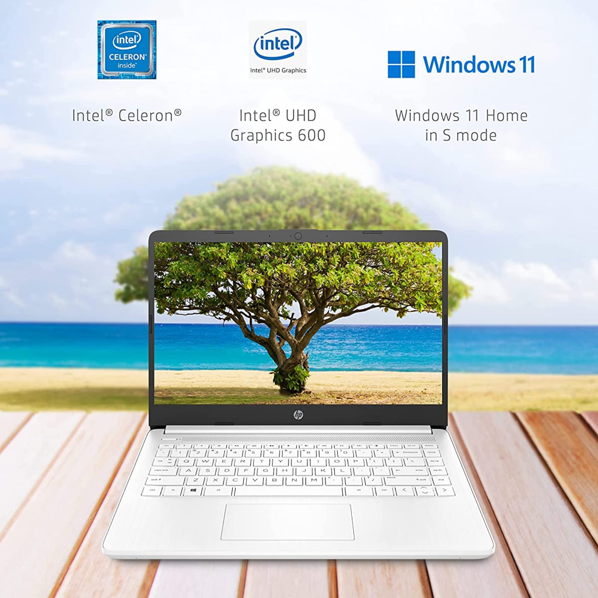 HP Latest Stream 14