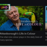 Observe World Cup in 4K: An Appropriately Detailed Guide by GadgetLad